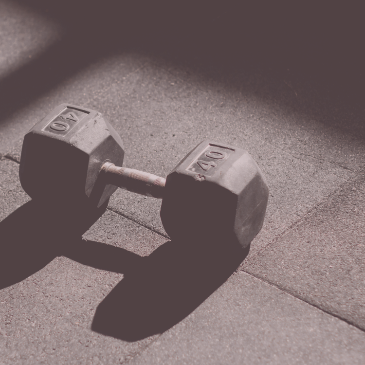 Fitness Accessories