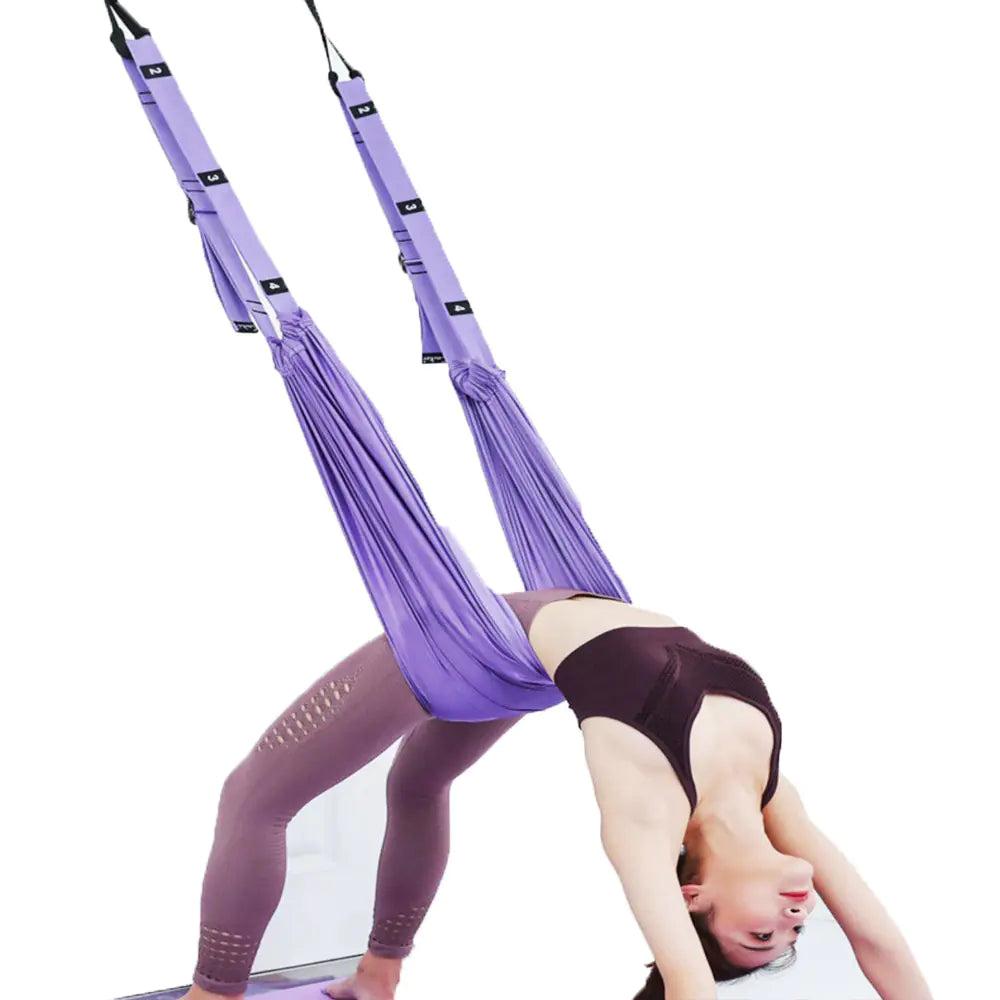 Home Aerial Yoga Suspension Strap - My Store