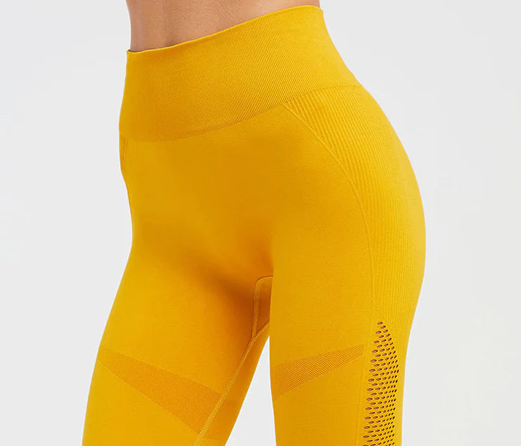 Seamless Hollow Fitness Leggings -Breathable Yoga & Gym Pants - My Store