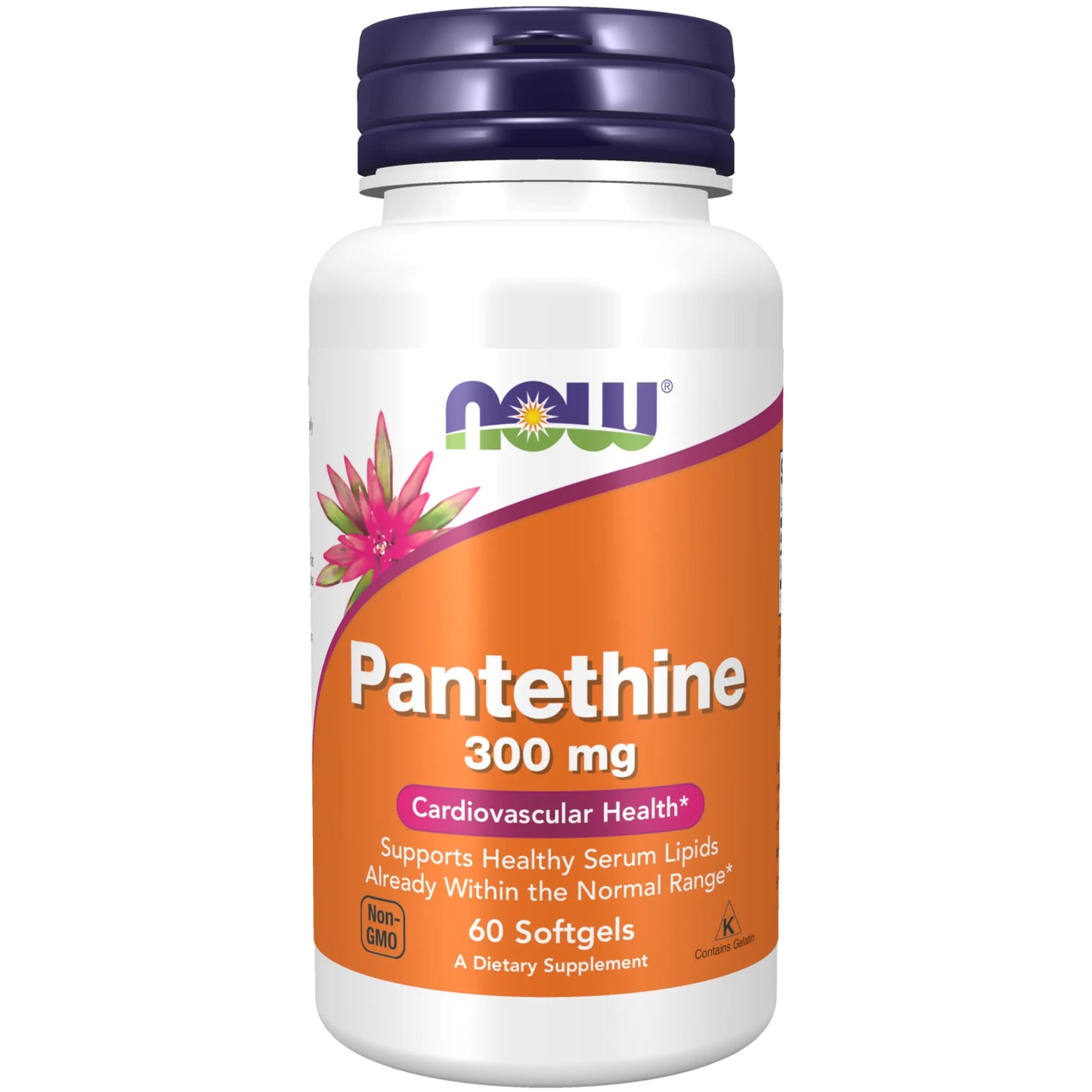 Pantethine (Coenzyme A Precursor) 300 mg Cardiovascular Health* 60 Softgels - My Store