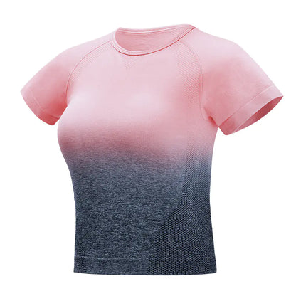 Seamless Gradient Short Sleeve Gym T-Shirt -Breathable Performance Top - My Store