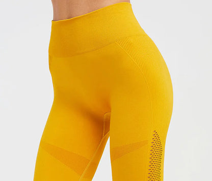 Seamless Hollow Fitness Leggings -Breathable Yoga & Gym Pants - My Store